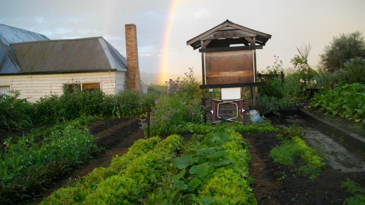 Cherry - Boutique Eco Village Farm stay
